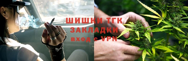 тгк Алзамай